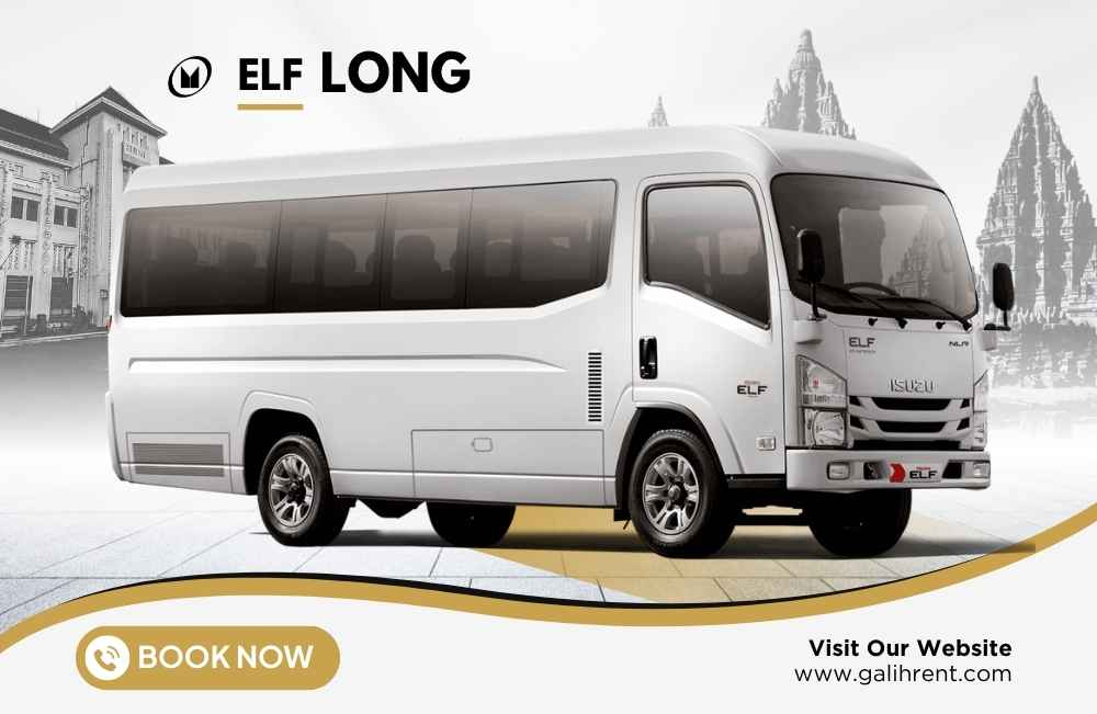 ELF Long
